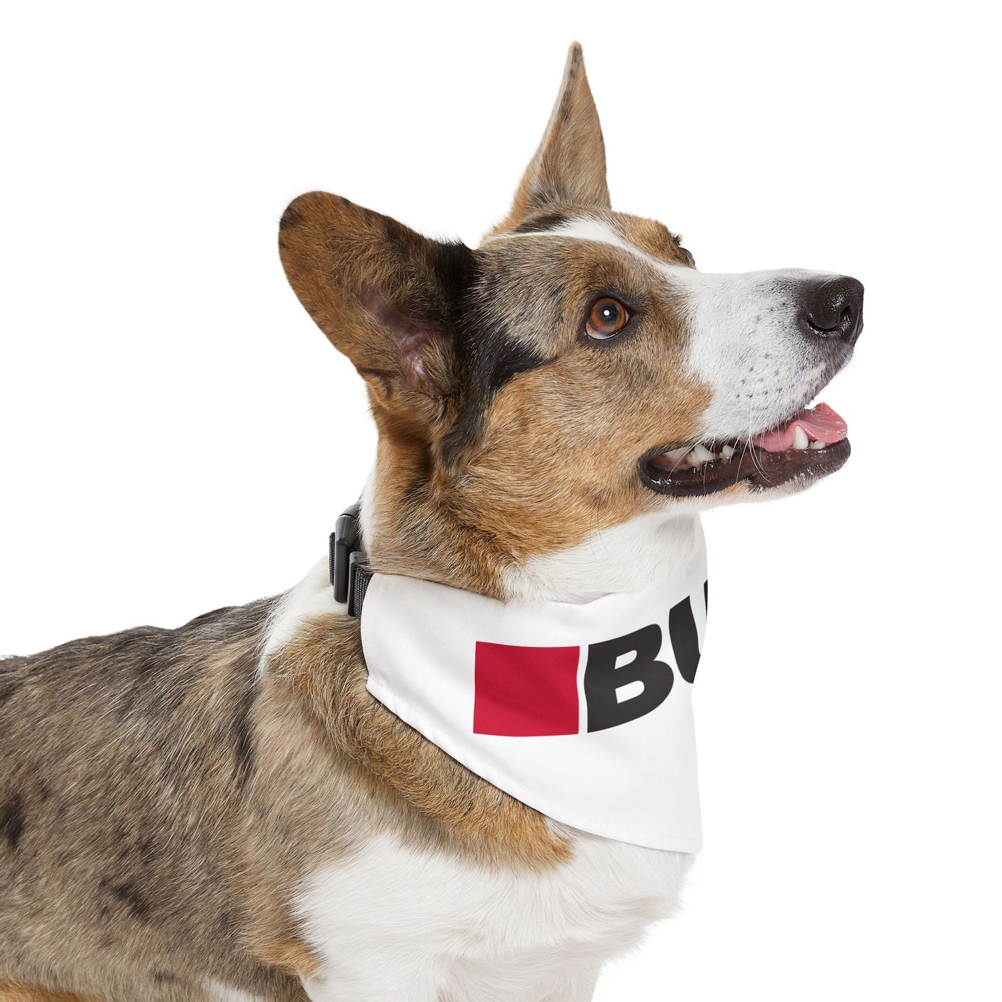 Pet Bandana Collar